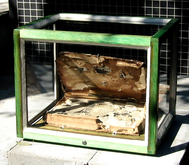 Book Art Created by Termites