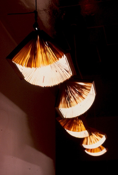 Book Track Lights