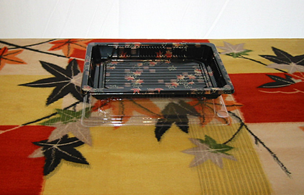 Ikat and Box, detail