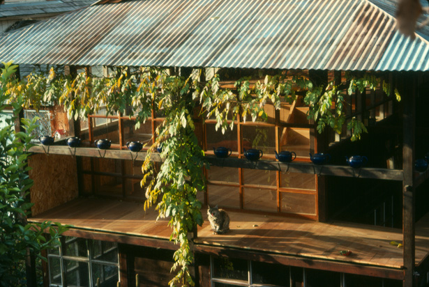 T House