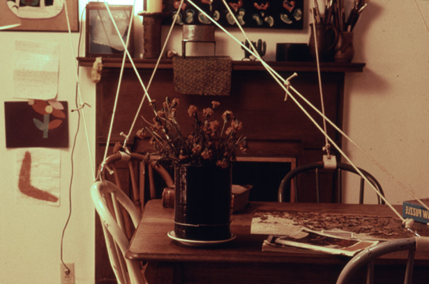Kitchen detail
